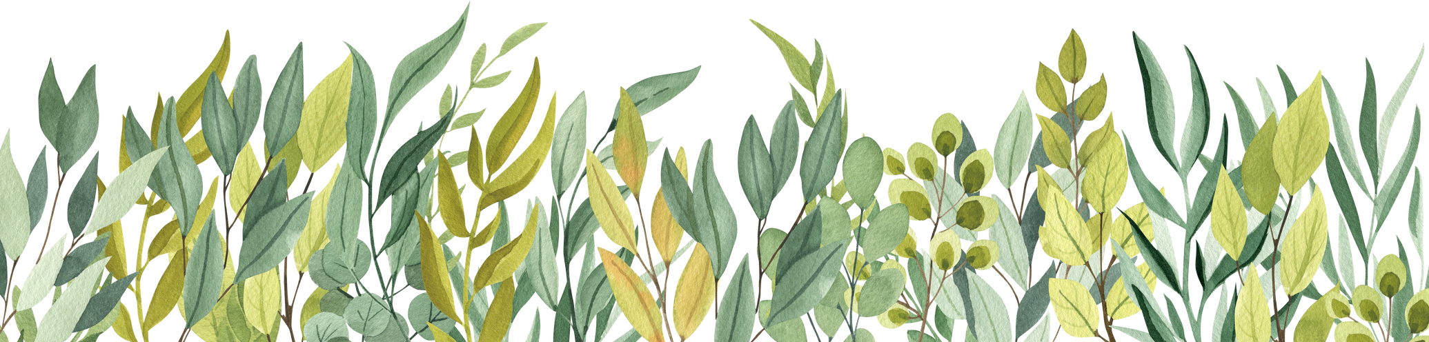 Watercolor Leaves Border